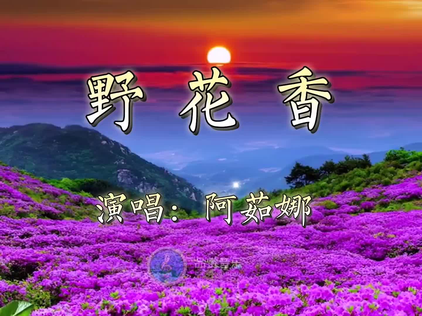 阿茹娜演唱《野花香》欢快嘹亮,爱总是让我心花怒放!