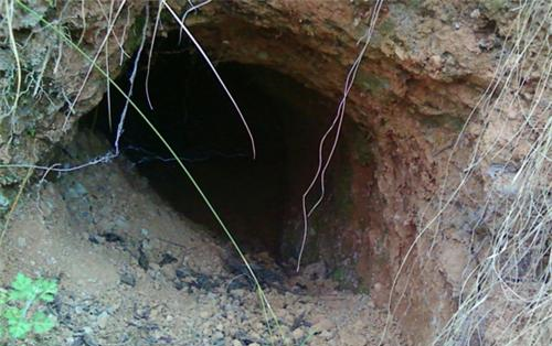 史上最幸运的古墓：盗墓贼挖15米后放弃，离墓中10吨珍宝仅5厘米休闲区蓝鸢梦想 - Www.slyday.coM