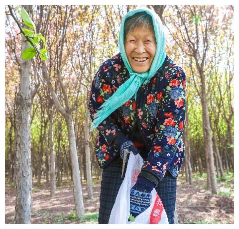 农村大娘在树林里挖的稀罕物,她说春天吃赛仙丹,吃过么?