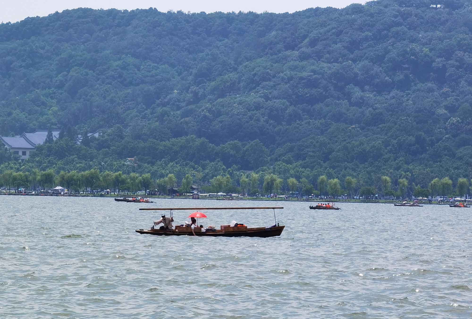杭州之美:夏季的你宛如美人柔情似水