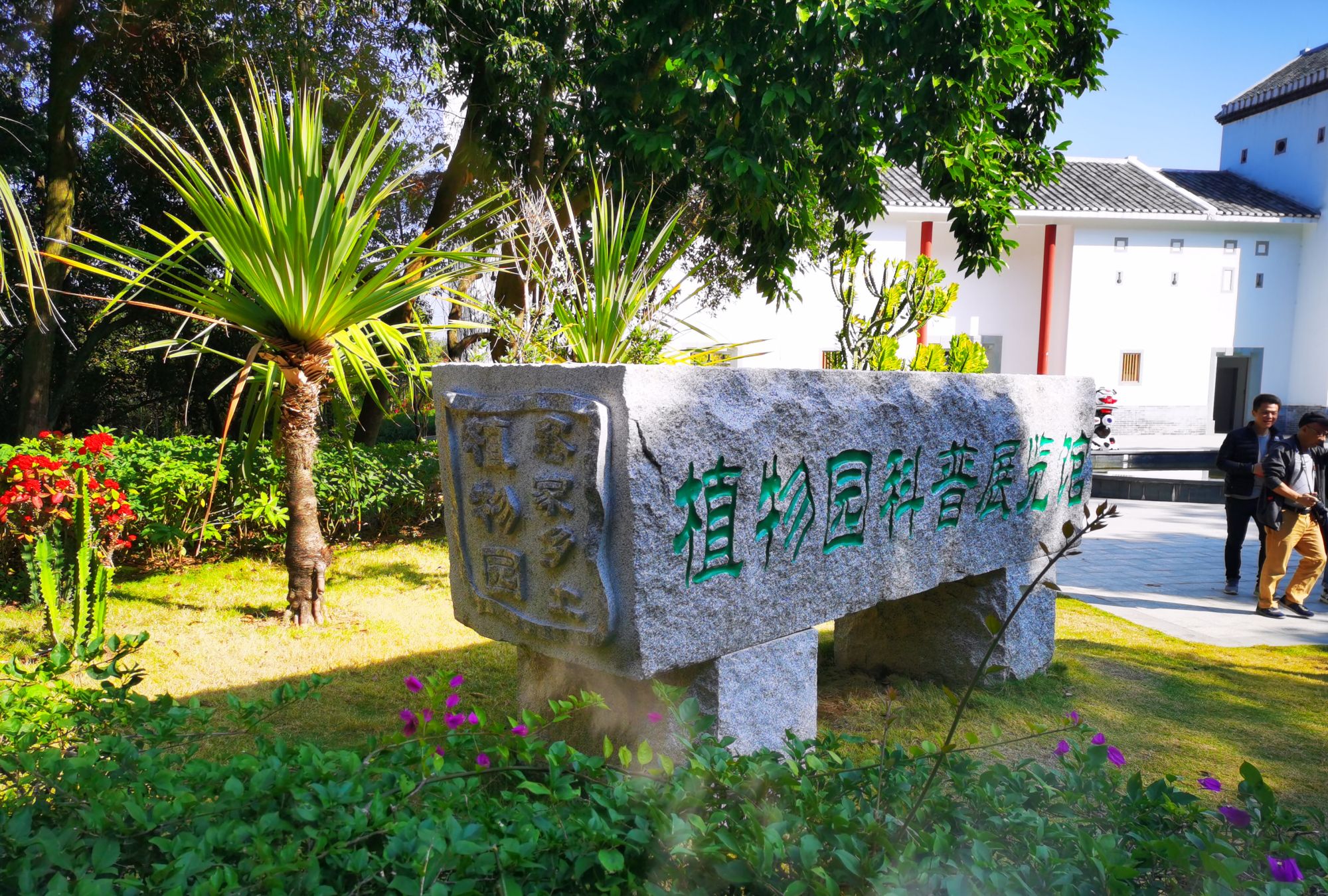 室内植物科普净化空气的环境植物