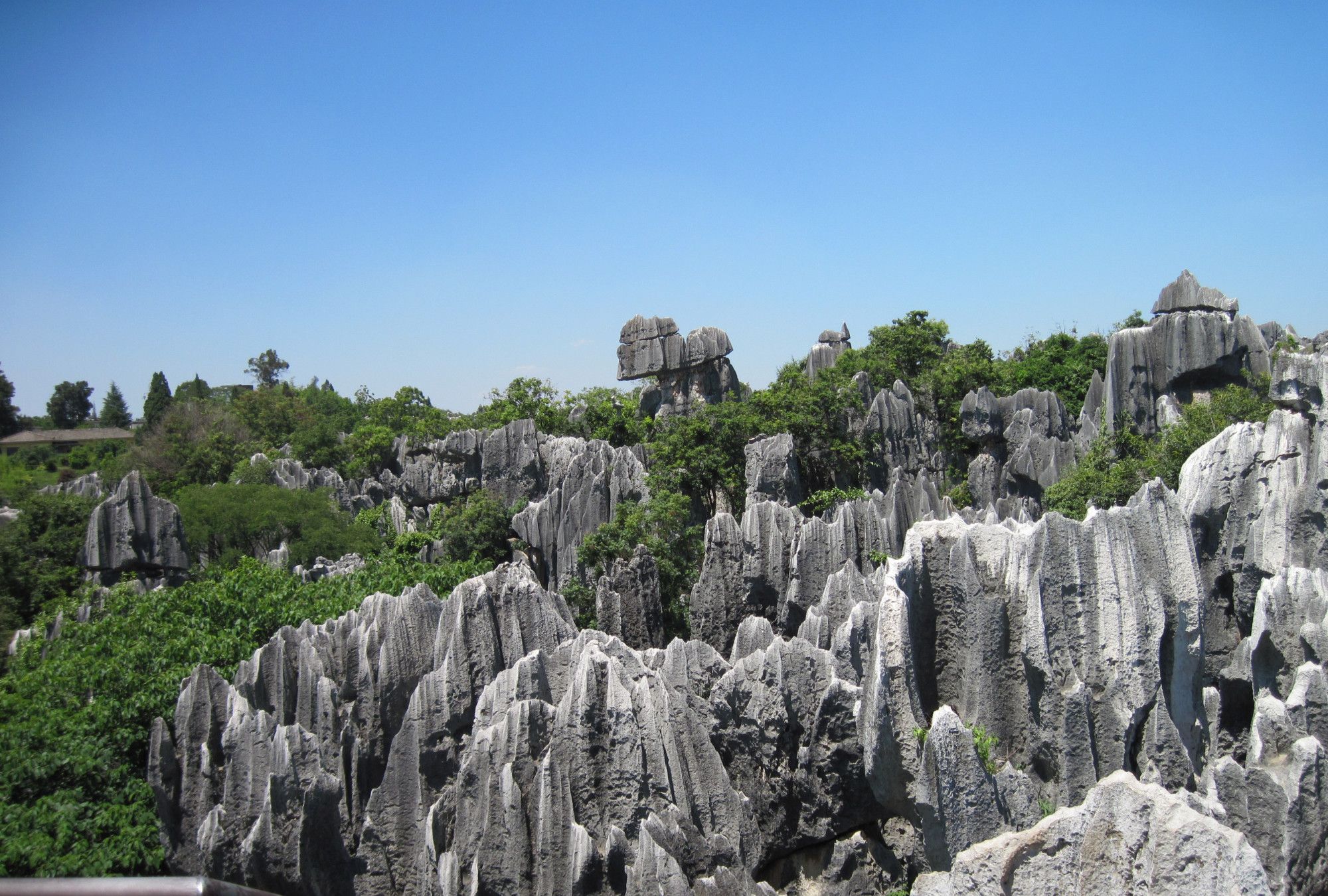 世界地质公园——昆明市石林风景区