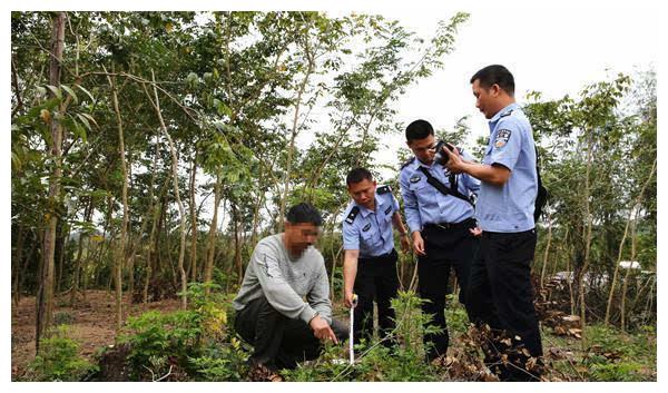 村民砍自家树卖，却被判刑又罚款，自己的树也不能砍吗？|林木|农村|许可证|农民|房前屋后_新浪新闻