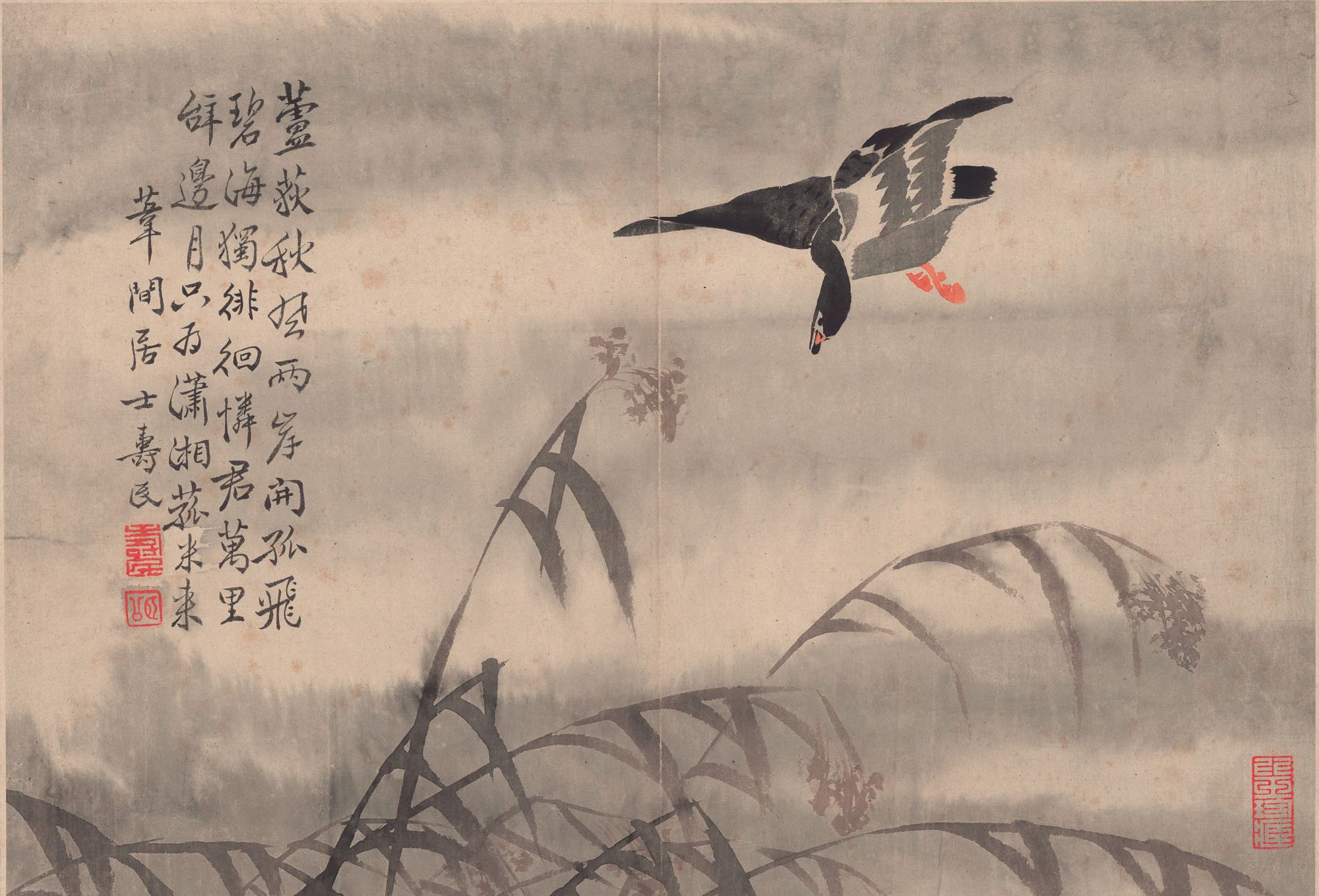 清代著名画家-边寿民-芦雁图十开_高清图集_新浪网