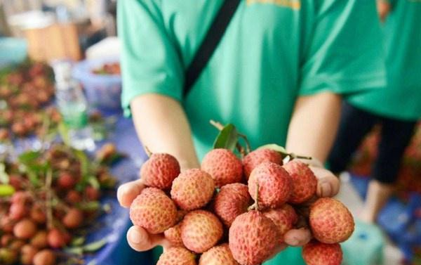 买荔枝时为什么总是湿漉漉的果贩透露其中的奥秘原来是这样