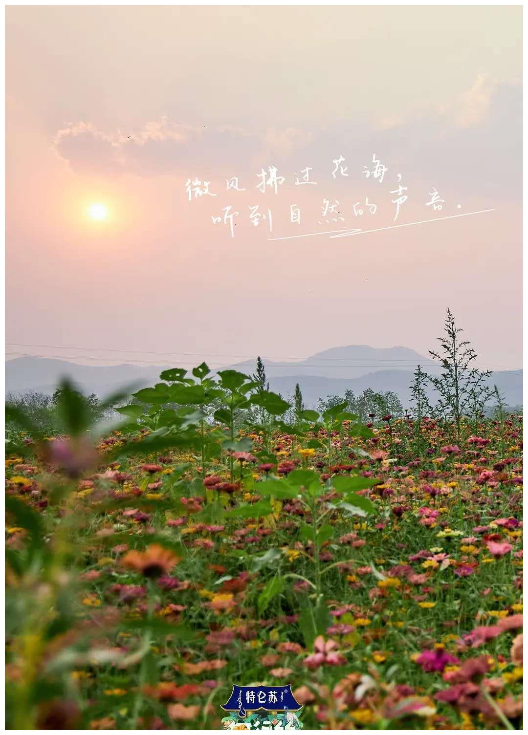 向往的生活第四季开播网友有点无聊