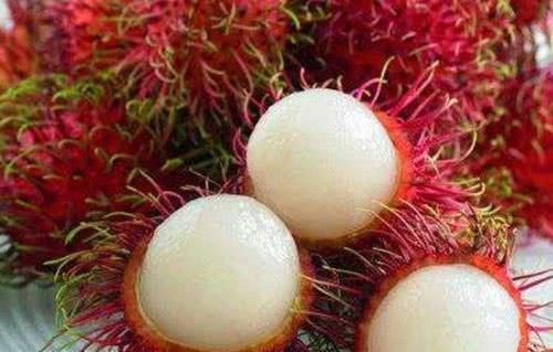 这4种水果都比车厘子贵，图1一盘要31万，吃过的土豪请和我做朋友休闲区蓝鸢梦想 - Www.slyday.coM