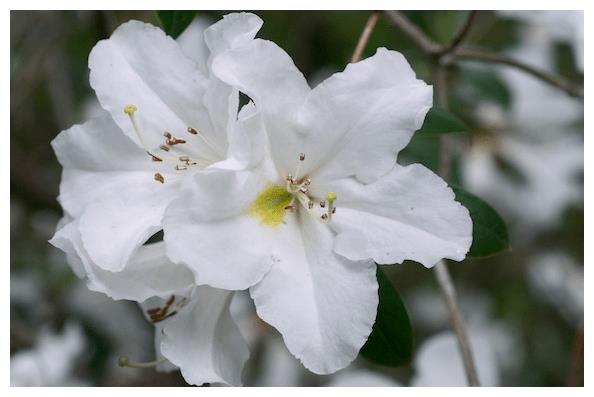 12月运势大吉 4生肖财气逼人 日进斗金 坐拥金山银山 金山 生肖 运势 新浪新闻