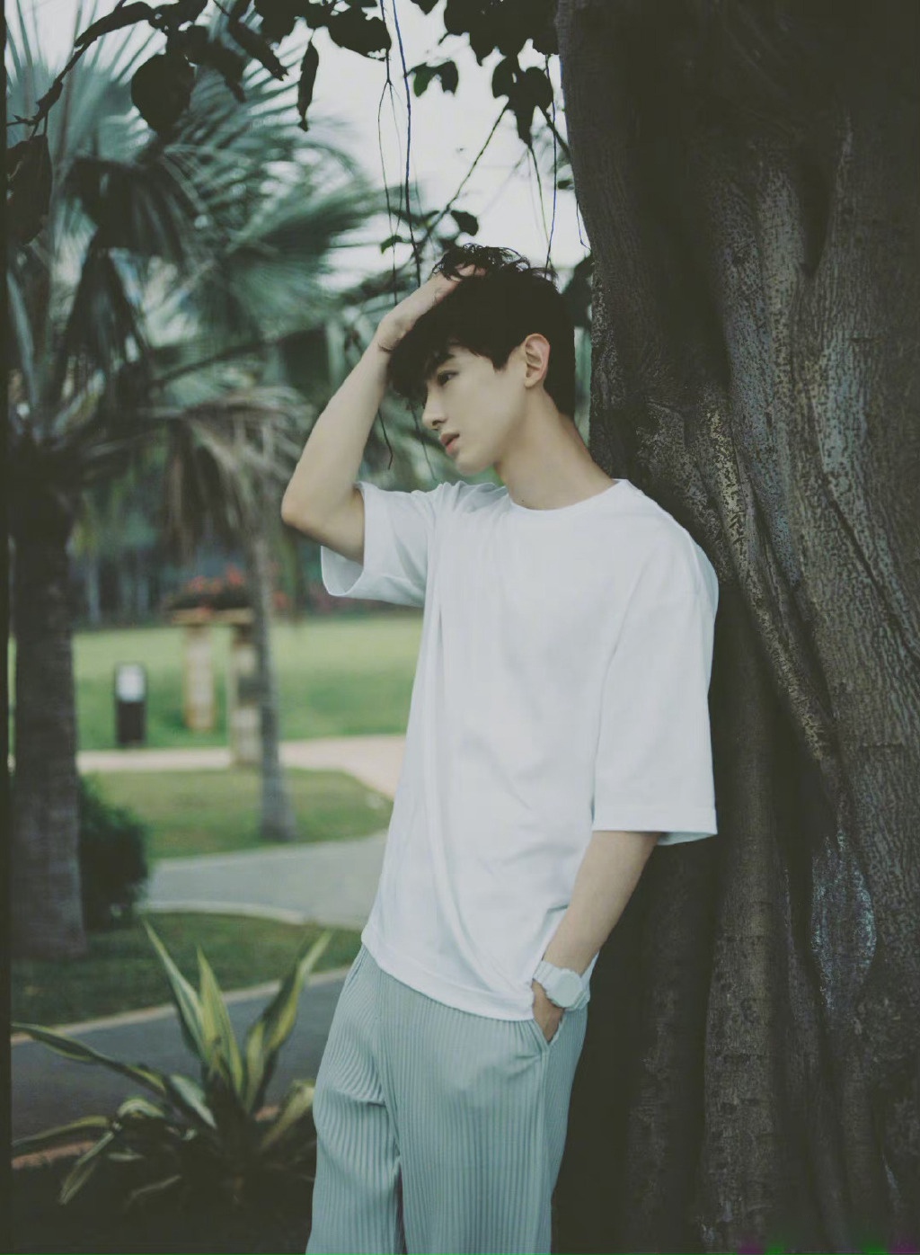 白敬亭身着纯白t恤现身海边清新帅气,海风吹过少年气息溢出屏幕