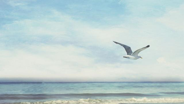 为什么老师只要求我们背古诗,却不教我们怎么写,是传承断了吗?休闲区蓝鸢梦想 - Www.slyday.coM 为什么老师只要求我们背古诗,却不教我们怎么写,是传承断了吗?休闲区蓝鸢梦想 - Www.slyday.coM