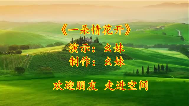 广场舞一朵情花开背面方便初学者