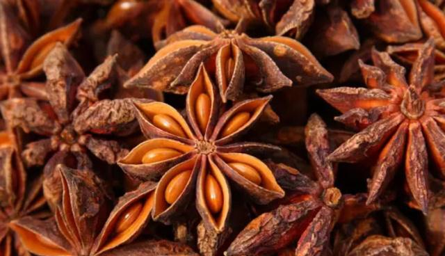 炖羊肉汤时，别的调料都可以放，唯独不能放这种料，不懂快看看吧休闲区蓝鸢梦想 - Www.slyday.coM