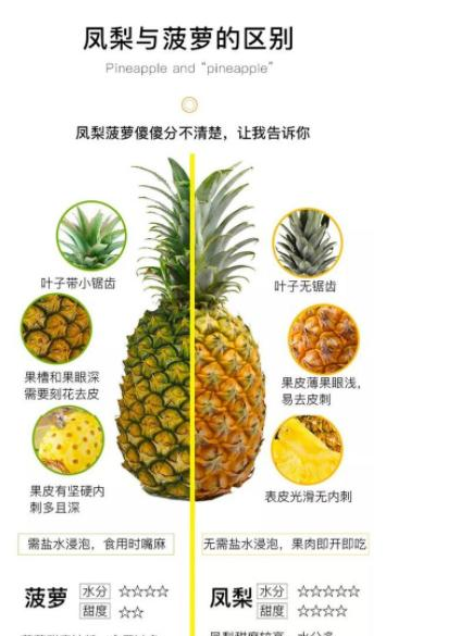 菠萝和凤梨究竟有什么区别现在终于知道了之后别再乱买了