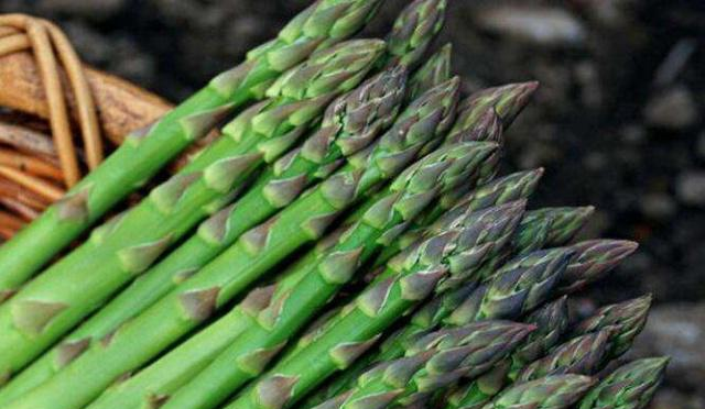 别总给孩子吃肉了,多吃“这种菜”,补钙又健脑,提高免疫力!休闲区蓝鸢梦想 - Www.slyday.coM 别总给孩子吃肉了,多吃“这种菜”,补钙又健脑,提高免疫力!休闲区蓝鸢梦想 - Www.slyday.coM