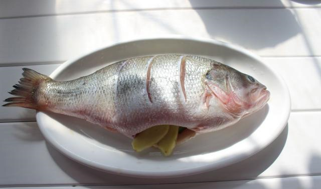 2,将鲈鱼表面用刀划几道,然后放入容器中倒入适量的料酒,蚝油,白胡椒