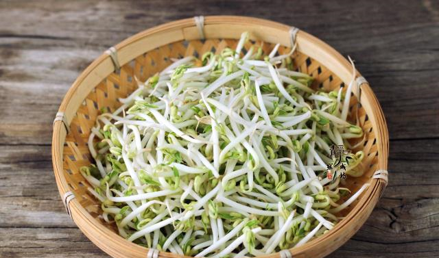 第一次这么吃绿豆芽,一筷子下去就没停下来,连汤都吃了个精光|绿豆芽