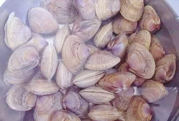 炒蛤蜊之前需要焯水吗大多数人都错了难怪吃起来会有沙子