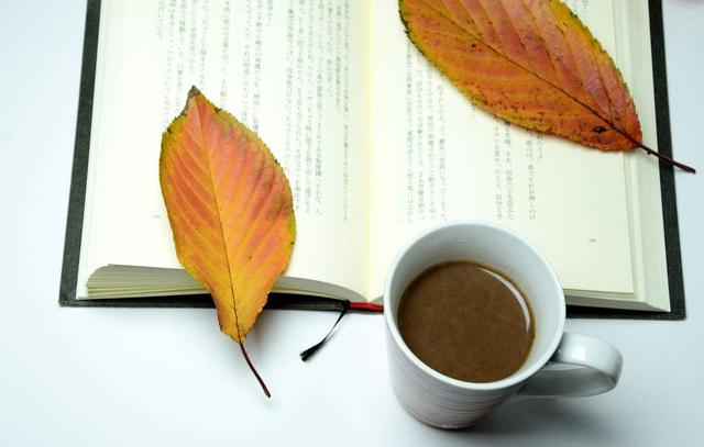 为什么老师只要求我们背古诗,却不教我们怎么写,是传承断了吗?休闲区蓝鸢梦想 - Www.slyday.coM 为什么老师只要求我们背古诗,却不教我们怎么写,是传承断了吗?休闲区蓝鸢梦想 - Www.slyday.coM