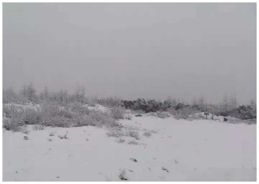 鹅毛大雪的图片实景图片