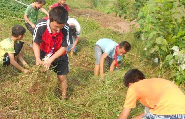 忍着,别哭,农村70后,80后,90后小时候上学的场景
