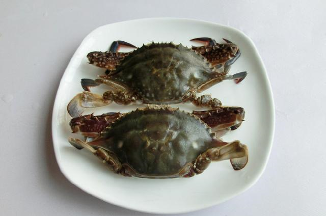 河蟹怎么做才好吃（河蟹怎么做好吃又简单蒸几分钟）-85模板网