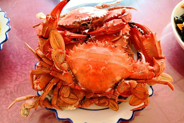 大连哈仙岛的这些海鲜虽长相各异但味道鲜美至极你都吃过吗