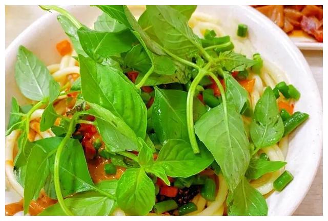 在外地我们可以吃到很多闻名全国的面条,唯独吃不到用荆芥煮的面,加了