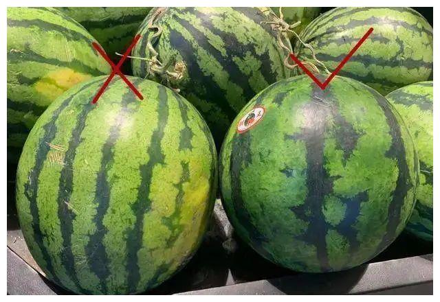 夏天挑西瓜,一定要学会买母西瓜,甜美多汁!