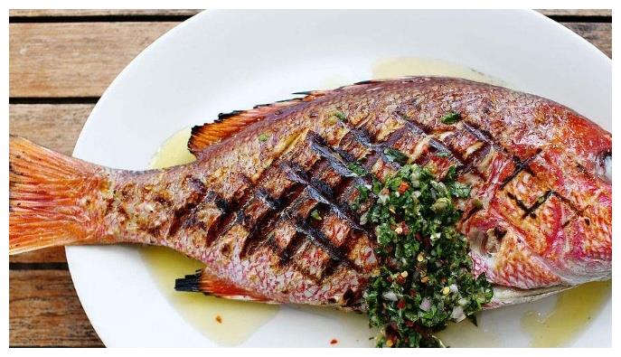 加吉鱼|营养|鱼_新浪新闻