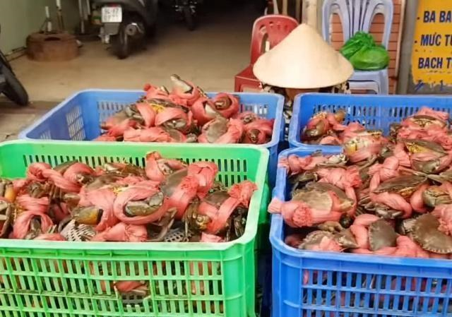 越南青蟹1斤5元，直接买8斤，买完发现“猫腻”越吃越“想哭”