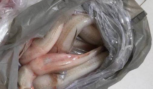 作为别名的"豆腐鱼"倒是更容易让人理解,只因它肉质细嫩,骨刺稀少而绵