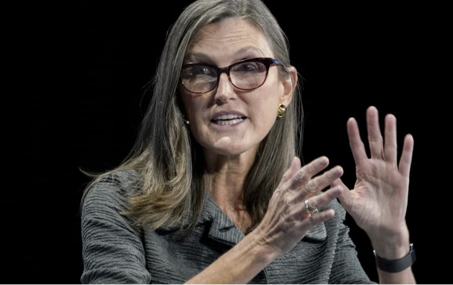 明星基金经理木头姐霸气:大科技股估值高了|基准|策略|杠杆_新浪新闻