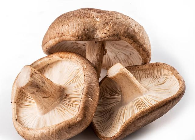 买香菇挑大的还是小的牢记3买3不买谁也不敢忽悠你