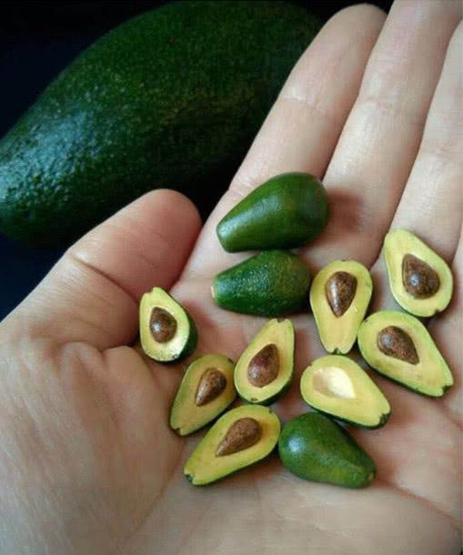 你一口能吃几个西瓜?我能吃10个,一只手能抓起来5个