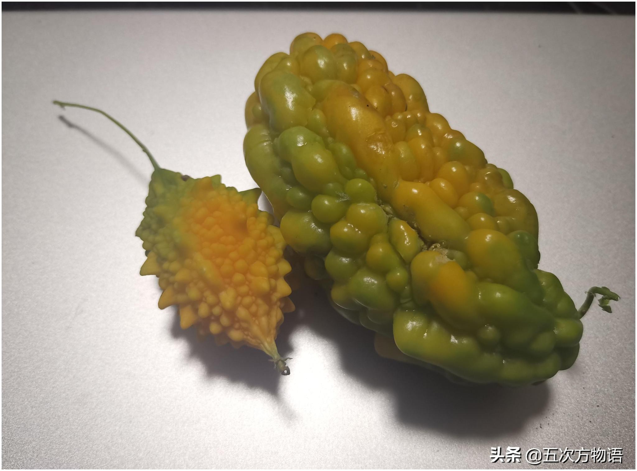 不管你承认不承认,"金铃子"就是苦瓜__财经头条
