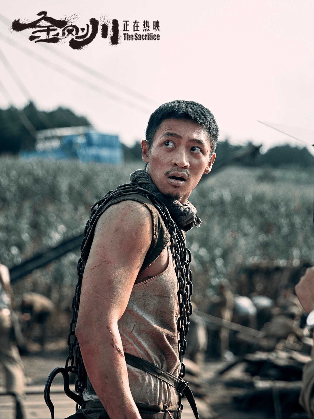 电影金刚川成绩亮眼魏晨饰演工兵连长身姿矫健