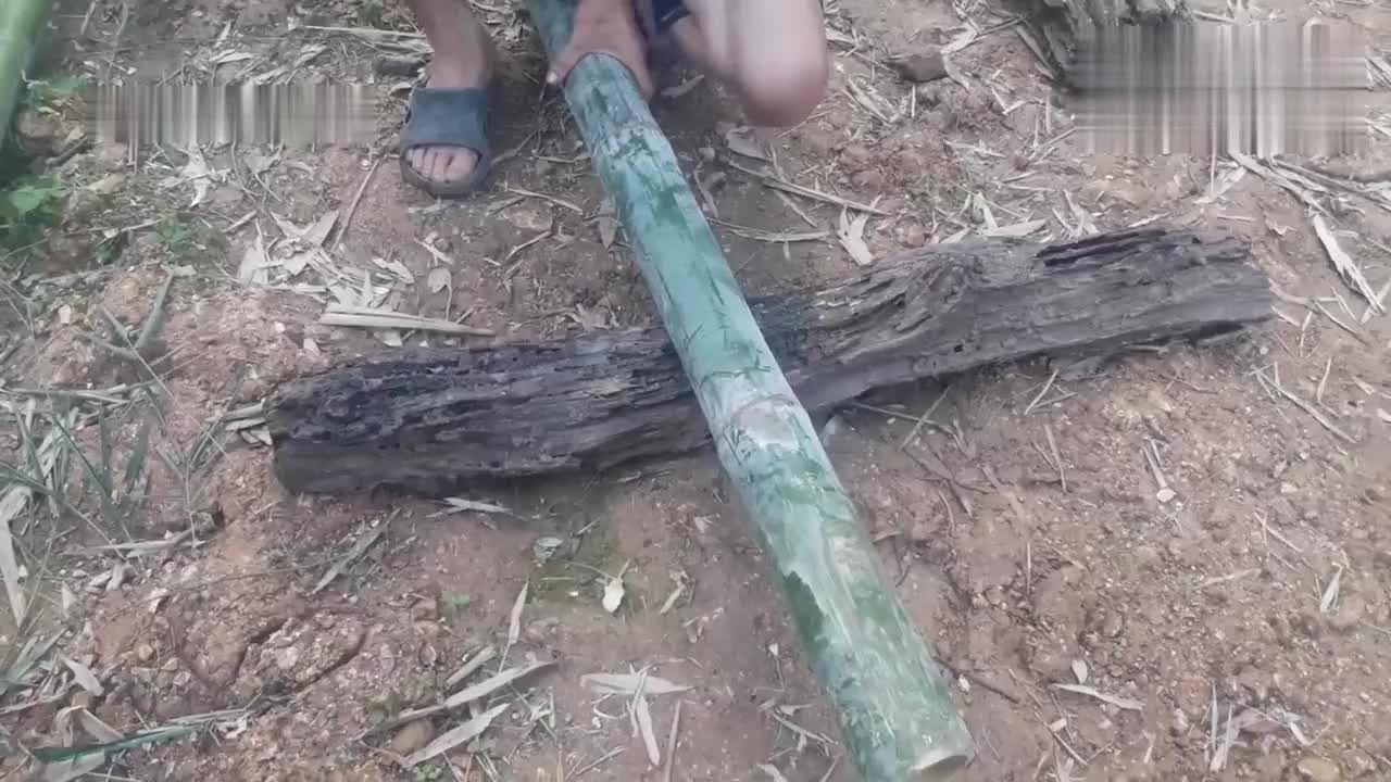 实拍越南小伙劈竹子网友这要是搁在中国给8000都不干