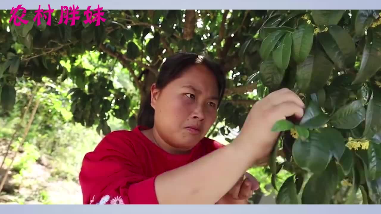 大洋无意间发现胖妹的小秘密,直言夫妻间不诚实,跟胖妹大吵一架