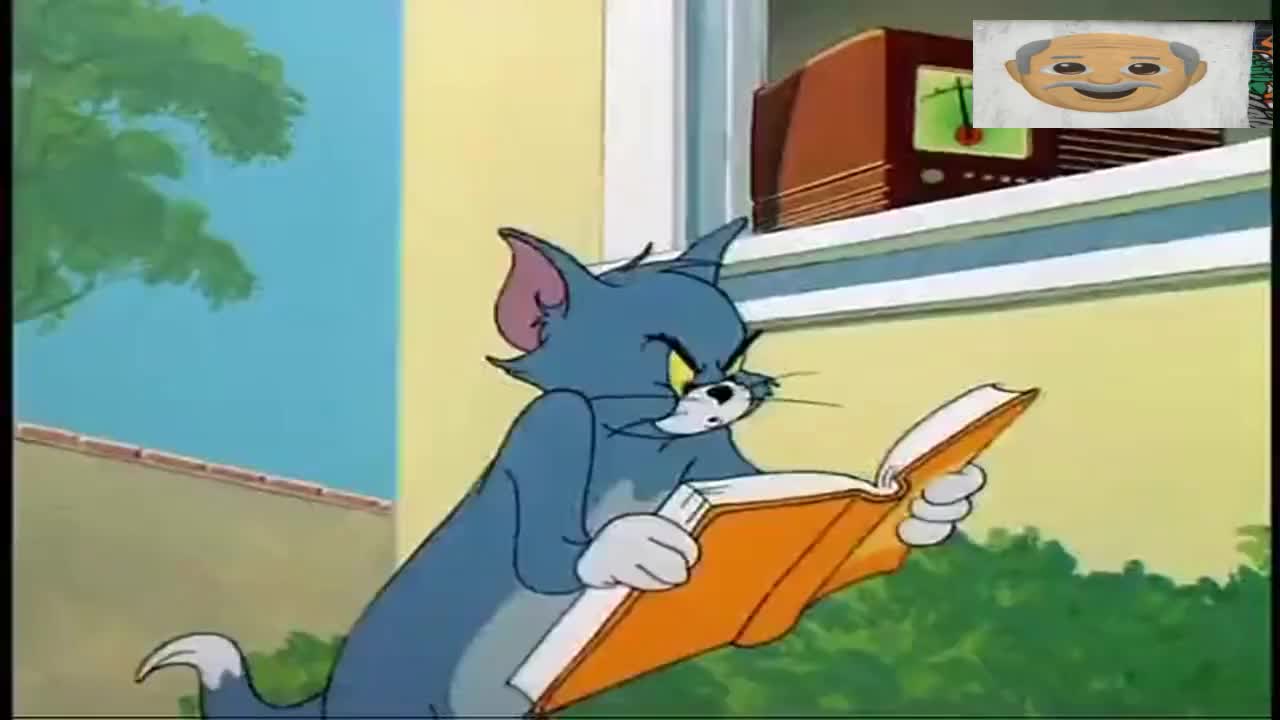 《猫和老鼠》中汤姆居然是奥林匹克世界捕鼠冠军!