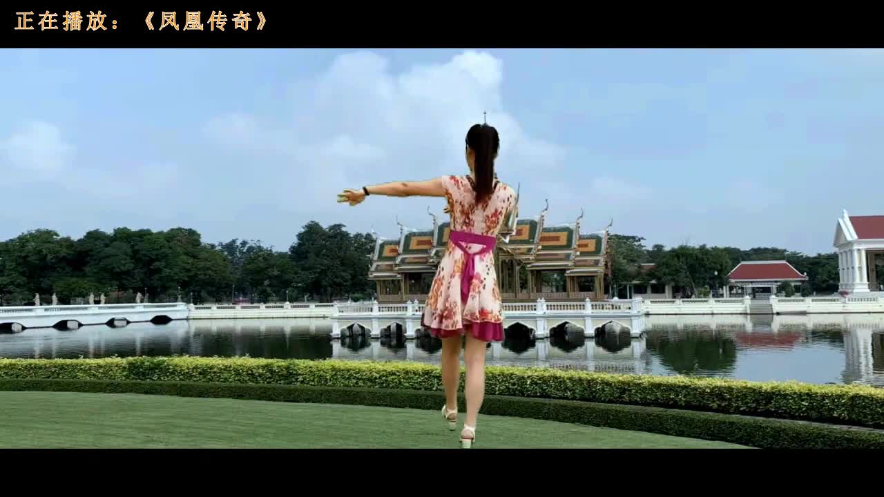 流行广场舞《《凤凰传奇》》舞步简单