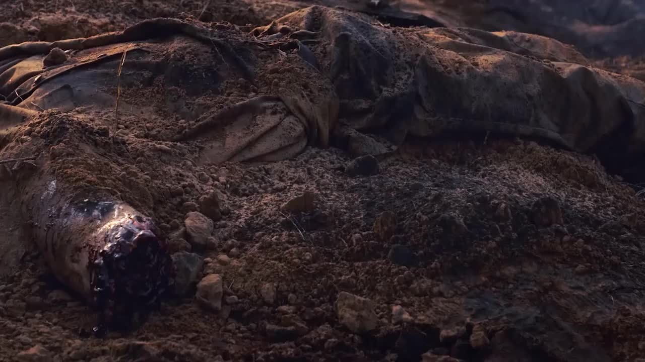 浴血沙场 新浪(移动端)