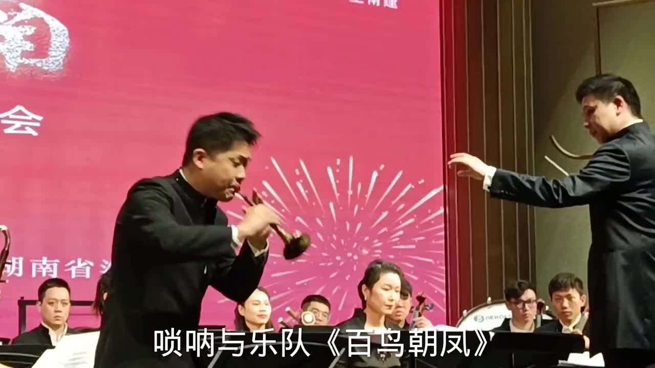唢呐演奏百鸟朝凤现场湖南音乐厅相信你也看过这个电影