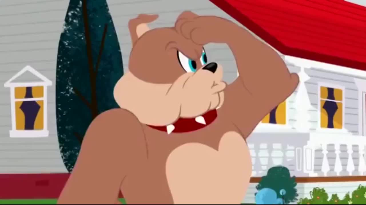 主人让大狗负责家里安全大狗听命开始训练杰瑞和汤姆