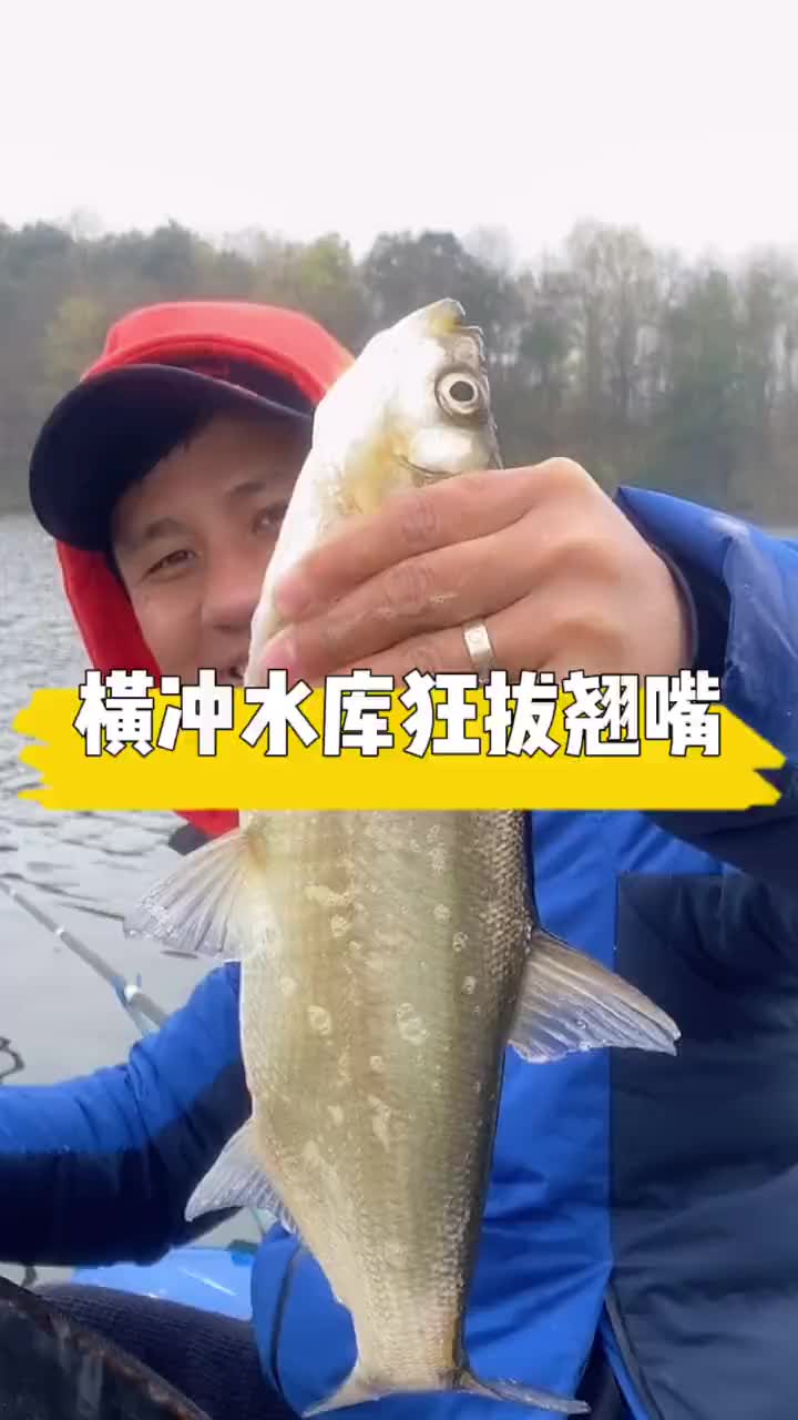 横冲水库钓翘嘴天元王稳这鱼钓的又爆护了