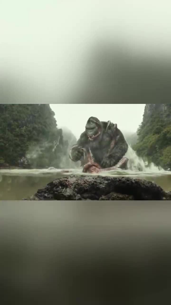 大猩猩金刚刚到湖中喝水巨型章鱼作死偷袭金刚发怒手撕大章鱼