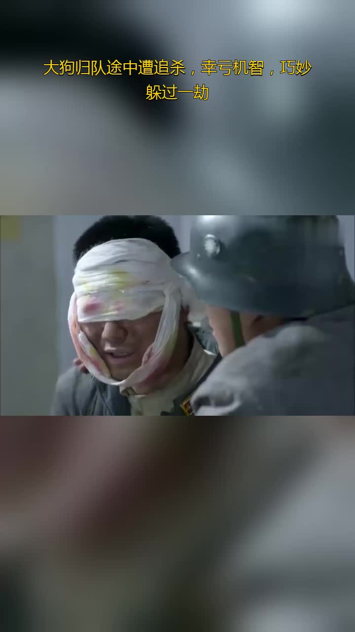 我的特一营大狗归队途中遭追杀幸亏机智巧妙躲过一劫