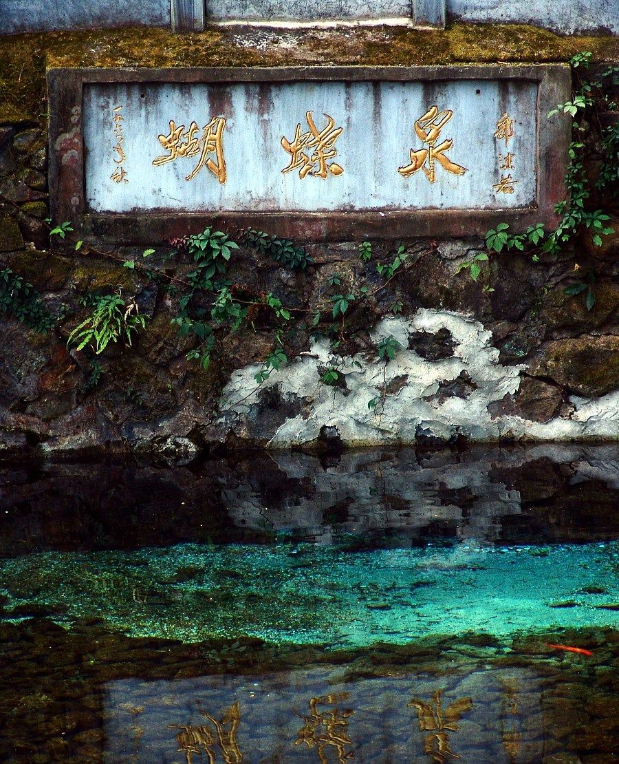 蝴蝶泉的这些旅游照,你喜欢哪一张_高清图集_新浪网