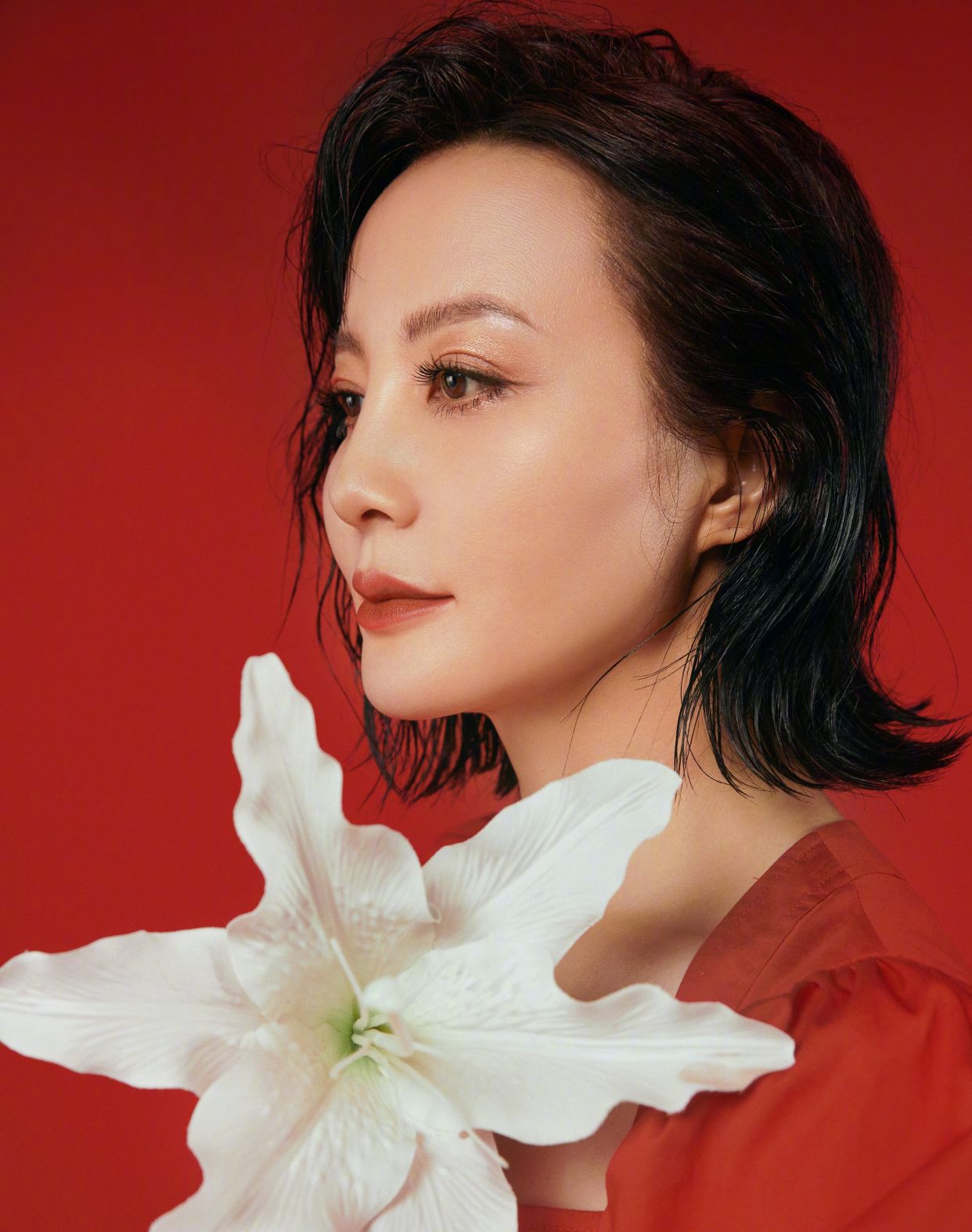 陶虹新图,迷之摄影师,造型难以言喻_高清图集_新浪网