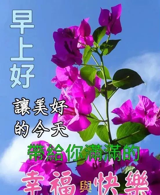 新的一天新的早安问候语动态图片