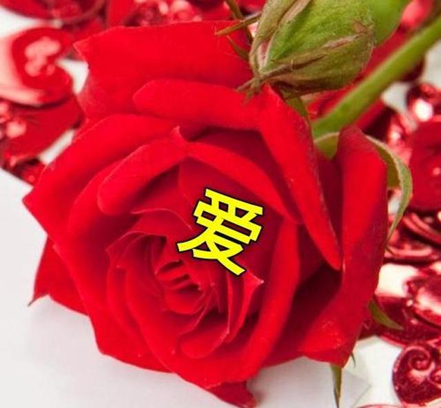 其实,你一直都在我心上,从未走远!